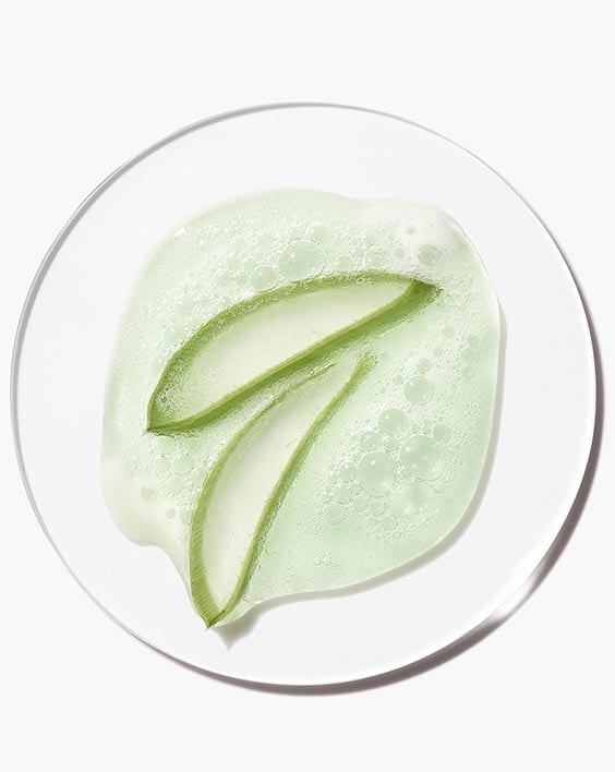 Ingredient to know: aloe bio-ferment.